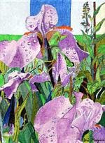 Denis Maguire: "Tears of the Iris"