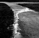 Bob McClelland - "Pathway, after rain".
