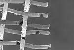 Sally Williams, Manchester Artist - Microscopic Image