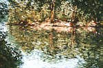 Lymm Dam