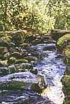 The Strid, Bolton Abbey