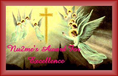 Winner of the Nu2me's Award for Excellence