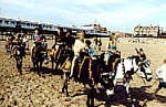 Donkey Rides on the Bech at Lytham St Annes