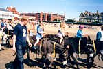 Donkey Rides on the beach at St Annes