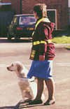 Manchester Guide Dogs for the Blind