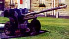 Field Gun outside Fusiliers Museum, Buey